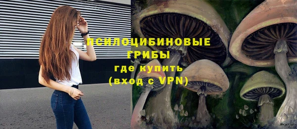apvp Баксан