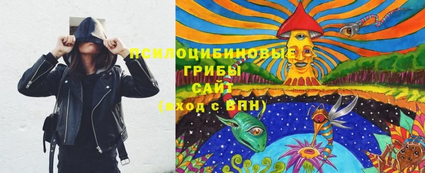 apvp Баксан